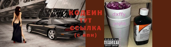 мяу мяу мука Белокуриха