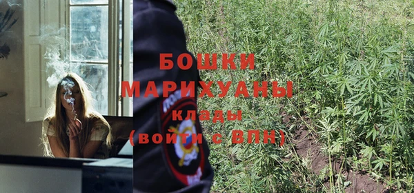 мяу мяу мука Белокуриха