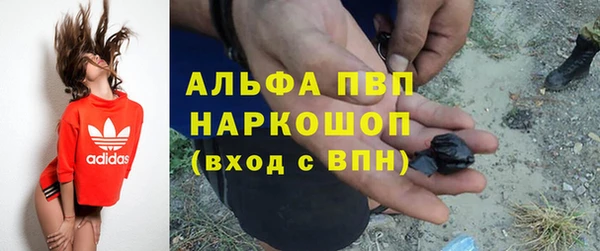 мяу мяу мука Белокуриха