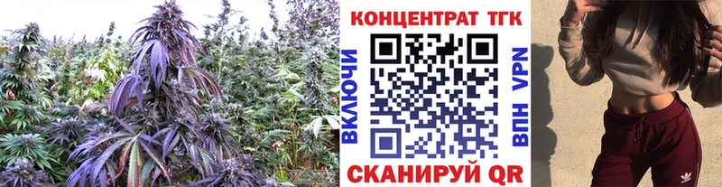 Дистиллят ТГК вейп  Очёр 