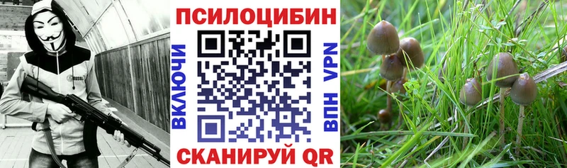 купить наркотик Очёр Галлюциногенные грибы мухоморы